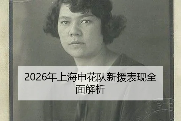 2026年上海申花队新援表现全面解析