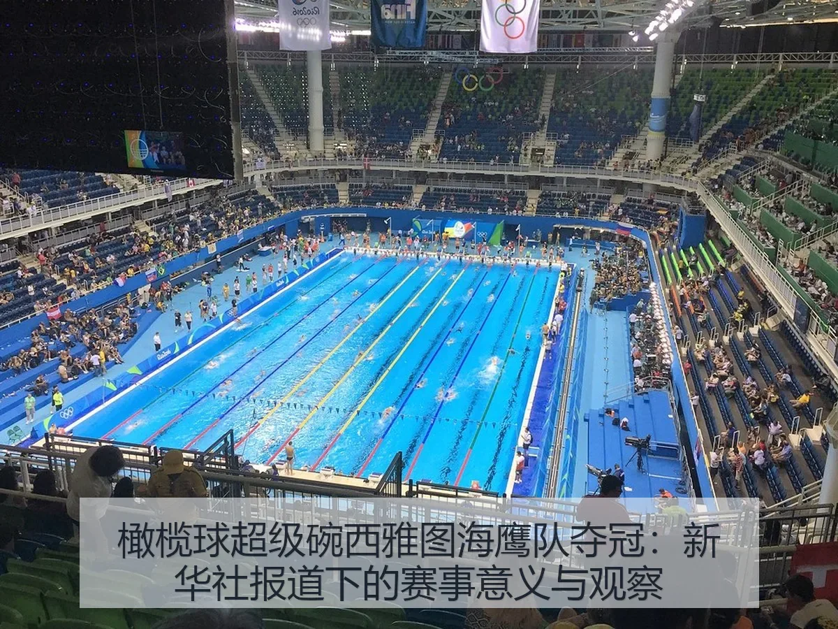 橄榄球超级碗西雅图海鹰队夺冠:新华社下的赛事意义与观察